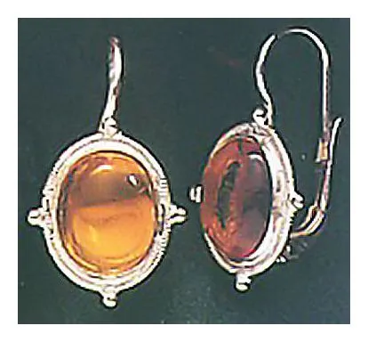 Amber Autumn Earrings