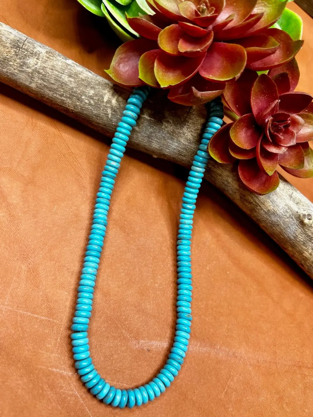 Fort Worth Short Turquoise Disc Necklace