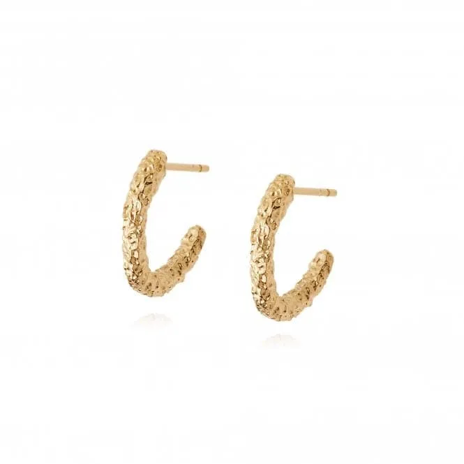 Isla Coral Midi Hoop 18ct Gold Plated Earrings SE03_GP