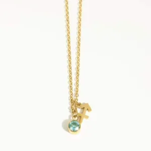 Love Waterproof December & Sagittarius Necklace Gold Plating